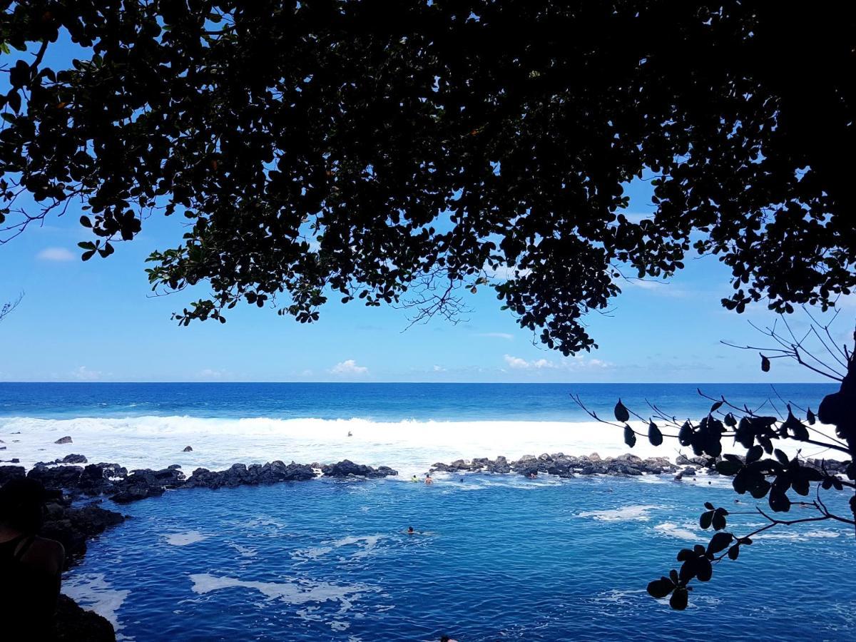 Le Gecko Vert Manapany-les Bains 外观 照片