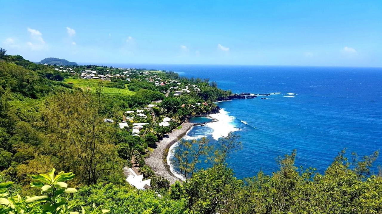 Le Gecko Vert Manapany-les Bains 外观 照片